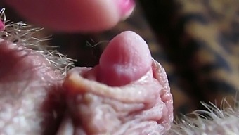Intense Close-Up Of My Swollen Clitoris Tip Throbbing During Hardcore Sex